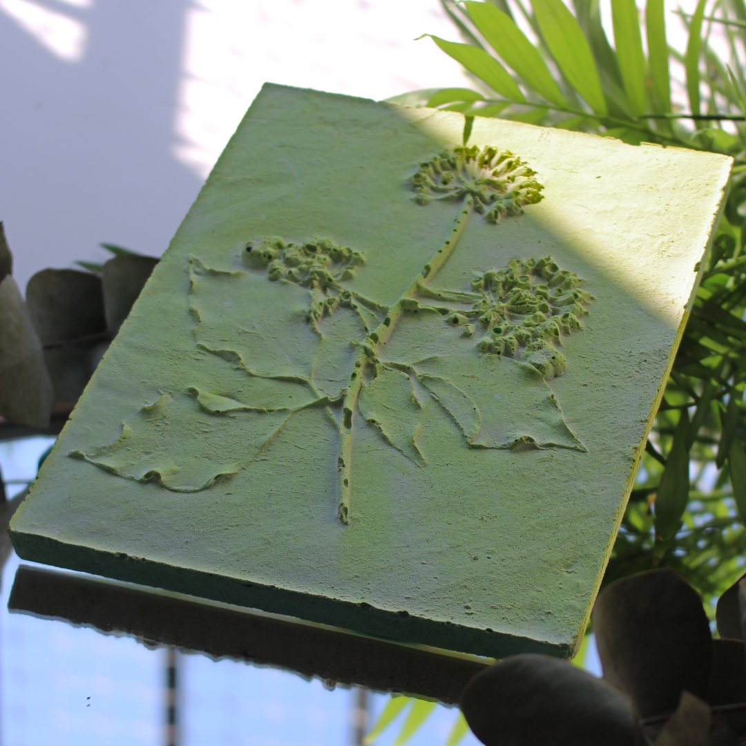 Alec Vivier-Reynaud cartel mycélium gravé au MakerLab