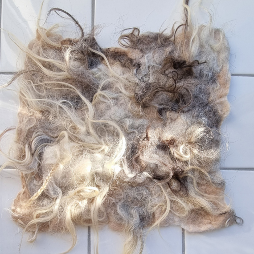 Neo paleo BehaghelFoiny